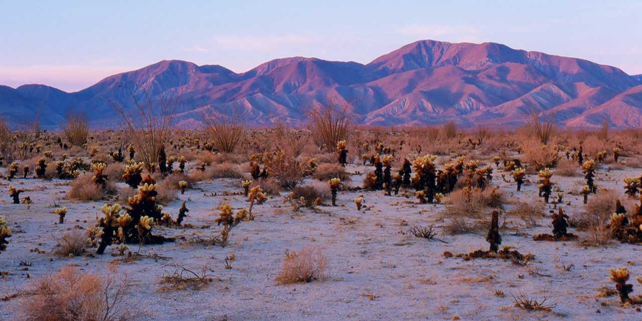 borrego-mountain