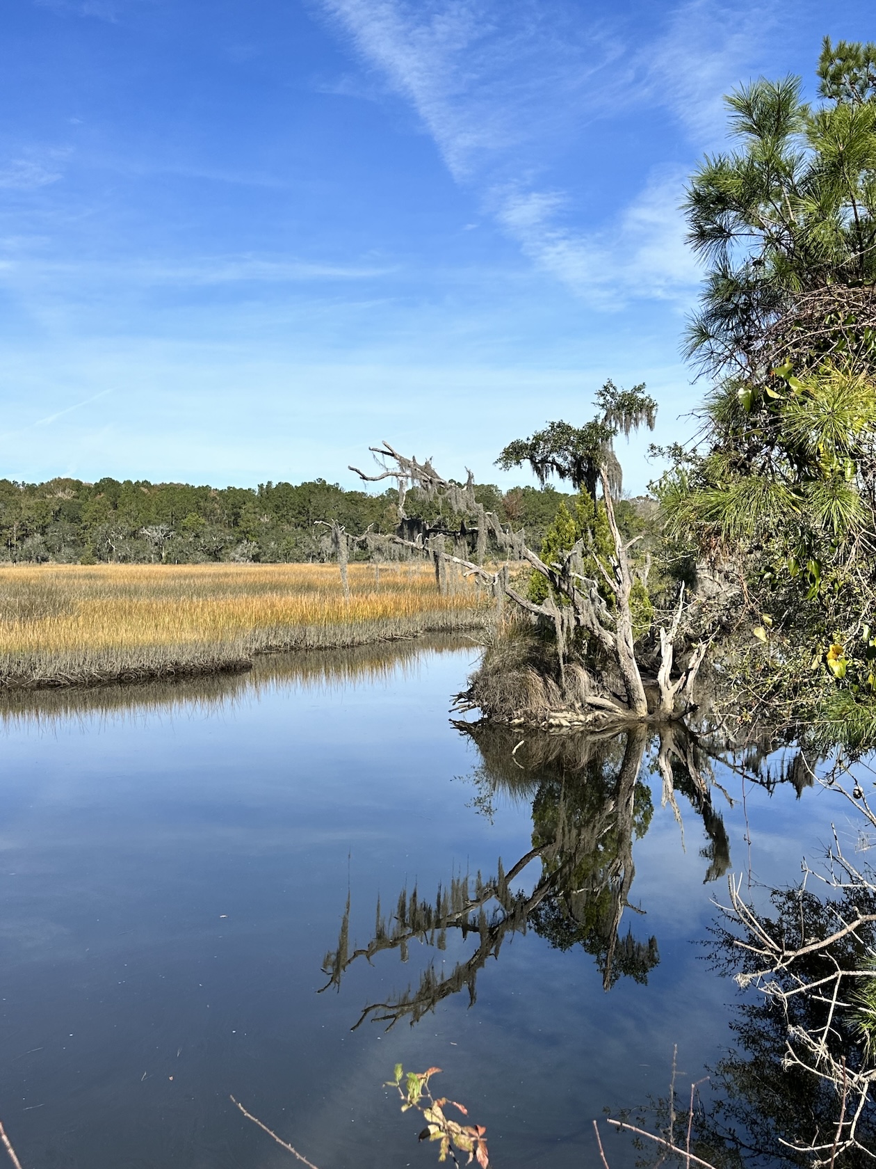 Swamp near Rantowles, where Hough and Bilham found evidence for liquefaction and railroad damage. Credit: Sue Hough, USGS, public domain