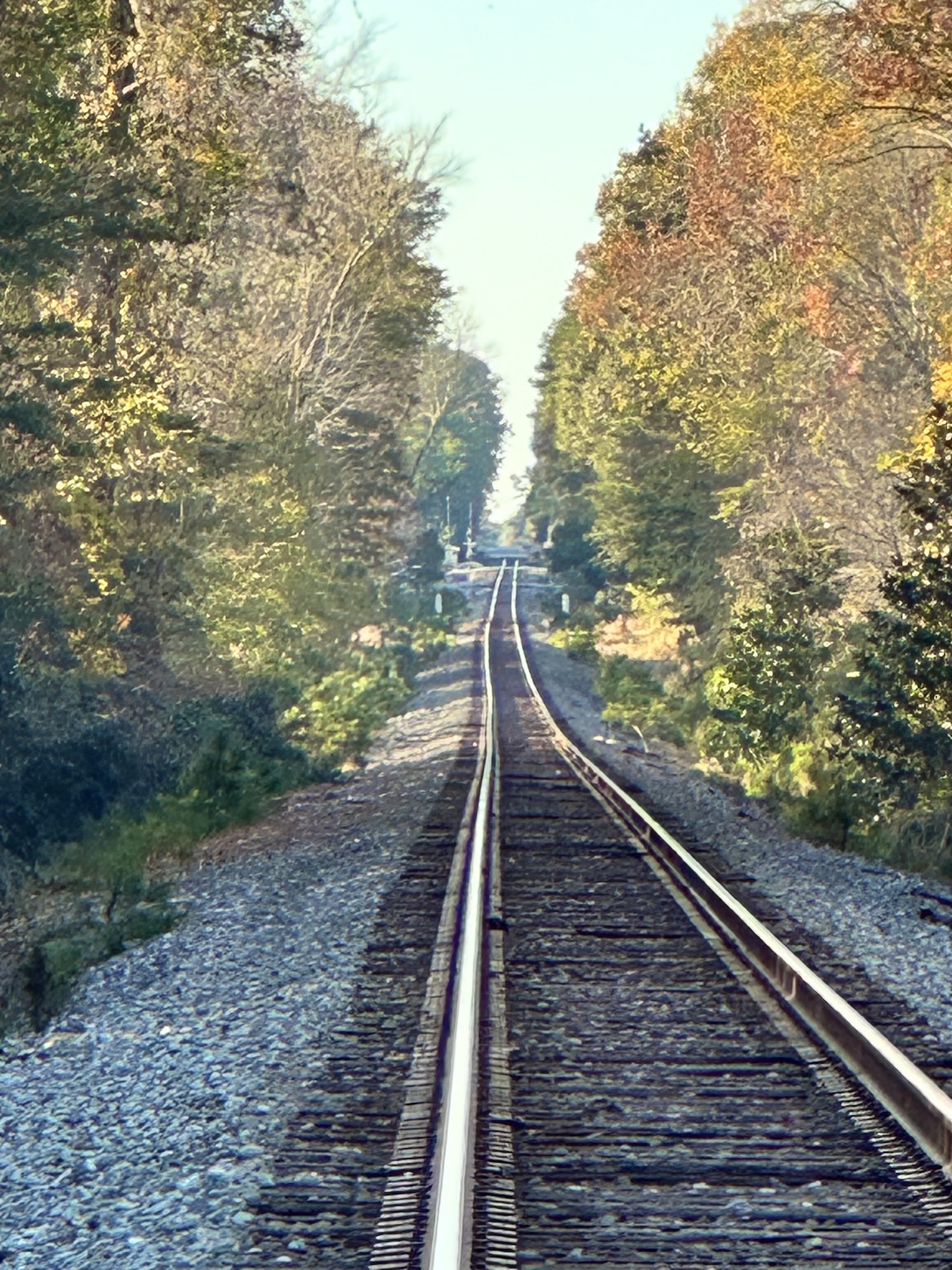 Offset railroad tracks observed by Hough and Bilham. Credit: Sue Hough, USGS, public domain